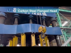 Carbon Steel Flanged Head