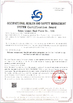 China Wuhan Linmei Head Plate Co., Ltd. certification
